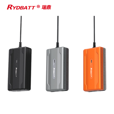 Chargeur de batterie RYDBATT Li ion 120W type enfichable pour vélo électrique